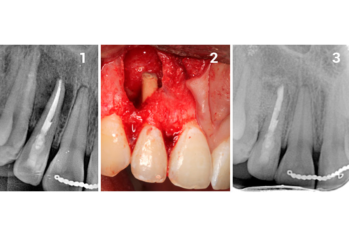 Resized Image