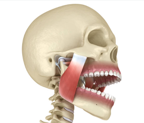 Resized Image