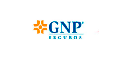 gnp